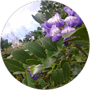 Tilila Atbir profile picture